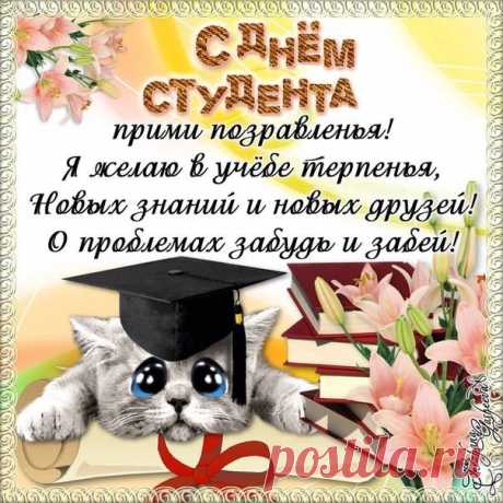 Быть студентом — это круто.
И хочу я пожелать,
Чтобы сложные науки
На «отлично» все сдавать.
С Днем студента!