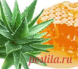 Лечение бронхита без лекарственных препаратов