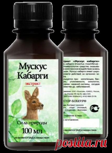 Мускус кабарги: лечебный эффект и полезные свойства