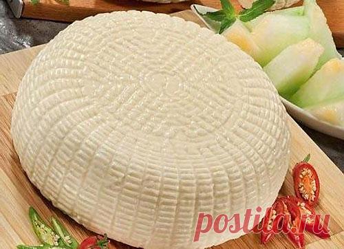 Сыр в домашних условиях из творога