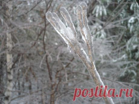 Работа ОНЛАЙН, БЕЗ ВЛОЖЕНИЙ Please RT https://evgeshashipilova.wix.com/toplider1