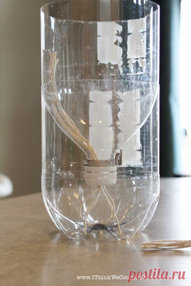 Супер простой DIY самополивающийся травяной сад