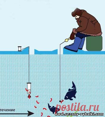 Долгоиграющая" кормушка