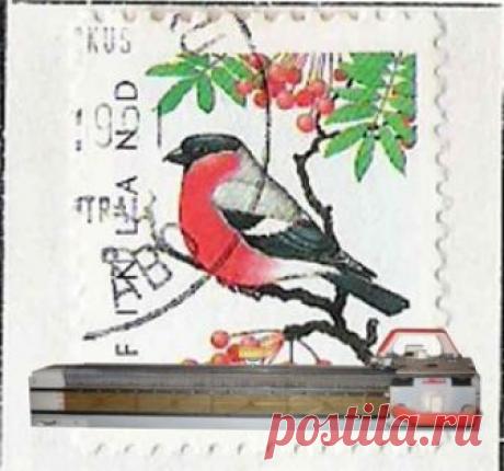 Магазин мастера Neva-5 Neva-5 на Ярмарке Мастеров Магазин мастера Neva-5 Neva-5 на Ярмарке Мастеров. Присоединяйся к самой крупной торговой площадке для покупки и продажи handmade-работ и дизайнерских вещей.