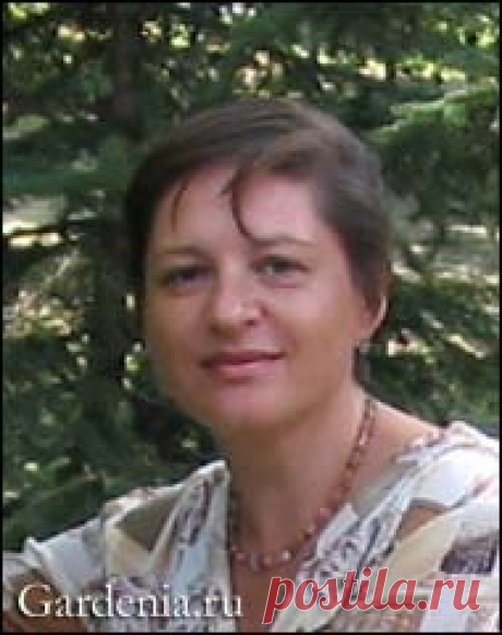 Дайджест сайтa Gardenia.ru Номер 481