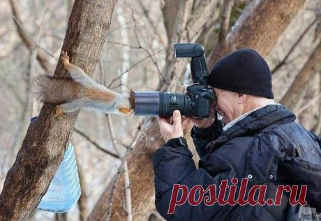 любопытство