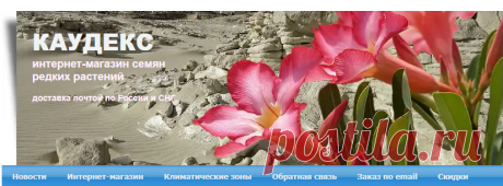Интернет-магазин - Интернет-магазин семян &quot;Каудекс&quot; - Адениум в Самаре