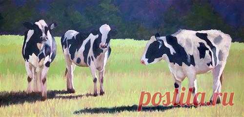 Галерея оригинального изобразительного искусства Дэвида Гибсона