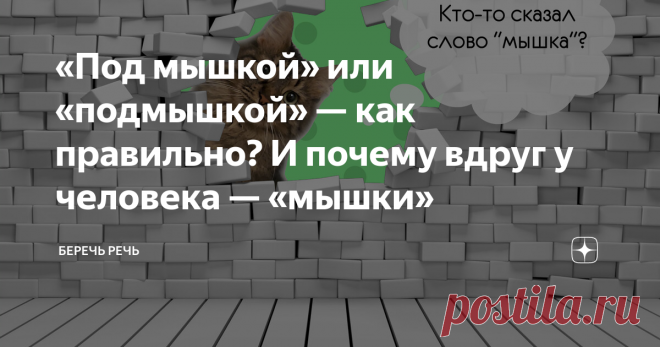 «Под мышкой» или «подмышкой» — как правильно? И почему вдруг у человека — «мышки»