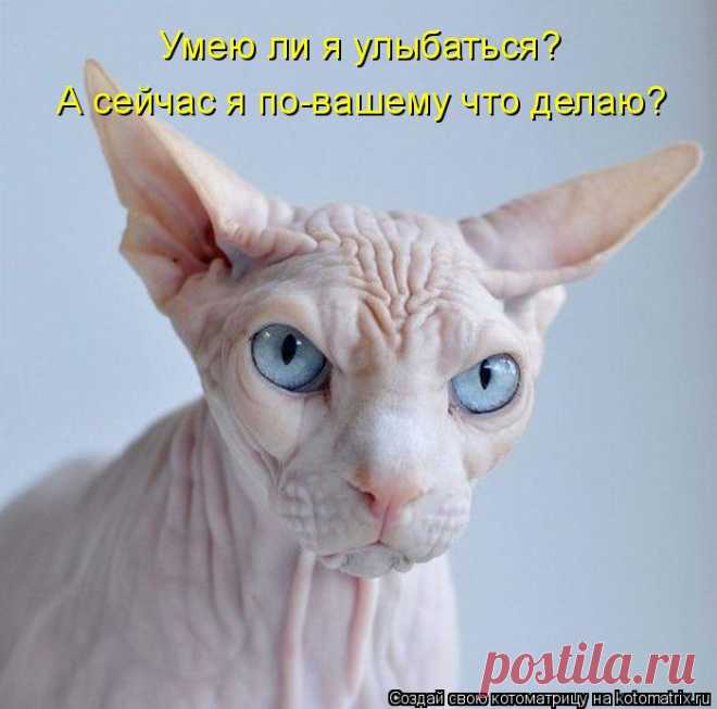 Приколюшки