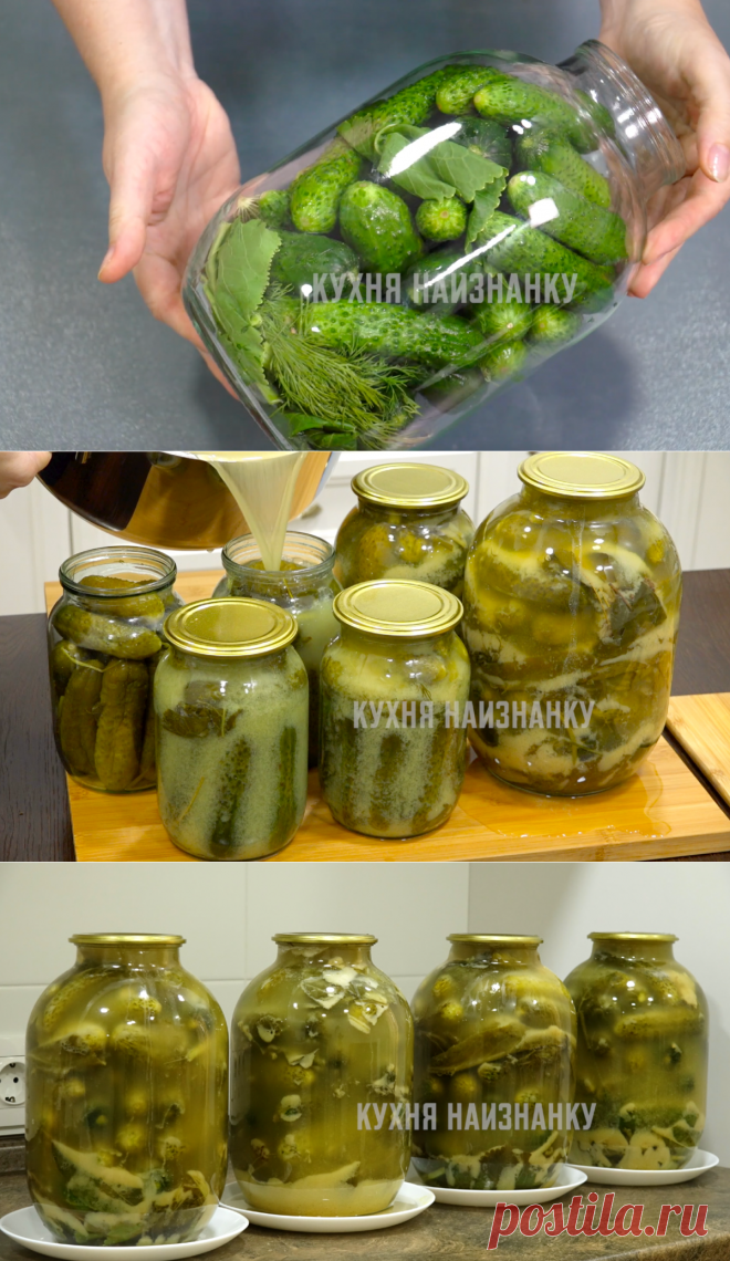 Огурцы на зиму без уксуса, без сахара и без подвала: хрустящие, в меру резкие и вкусные (даже свекровь похвалила мои огурчики) | Кухня наизнанку | Яндекс Дзен