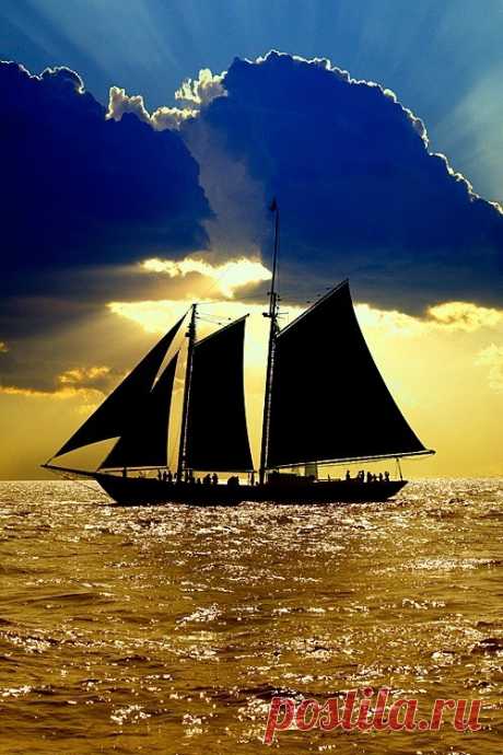 yellowrose543:
“From imgfave.com
”