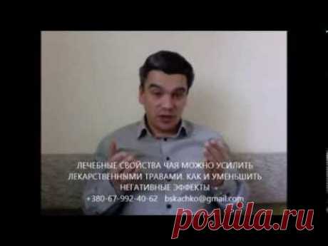 Самый лучший полезный чай для здоровья печени, почек, похудения, от депрессии из трав?