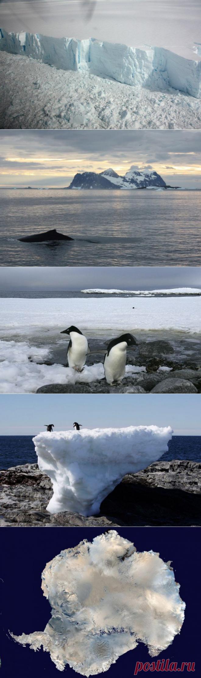 Исчезающие льды: пейзажи Антарктиды / Туристический спутник