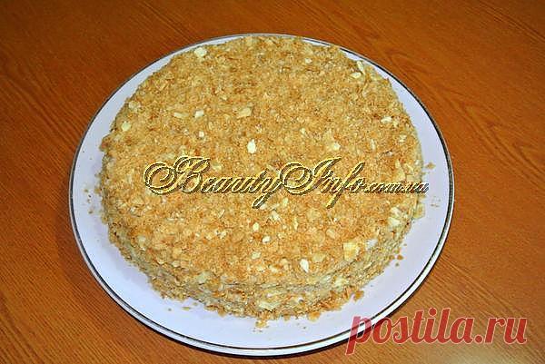 Торт "Наполеон", классический рецепт
Торт "Наполеон", приготовленный по классическому рецепту, получается легким, нежным, он просто тает во рту. Приготовление торта занимает, по меньшей мере, 4 часа, но это самое любимое всеми лакомство, безусловно, того стоит.