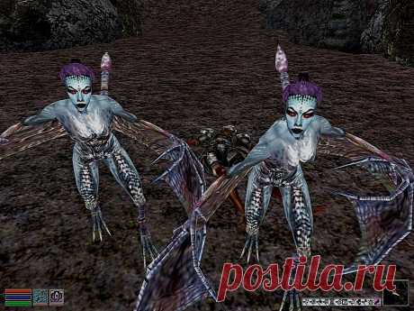 Крылатые сумраки (Winged Twilights).
«За дверями Берандаса, внутри пещер молчащих, под крыльями сумерек спит прах в тех башмаках, что так любил носить Талос».
И действительно, все как в видении Ллалатии Вариан, Оракула Имперского Культа, в последней каверне пещер под древней данмерской крепостью Берандас, где покоится тело Мертвого Героя в Ботинках Апостола, нас встречают крылатые сумраки.