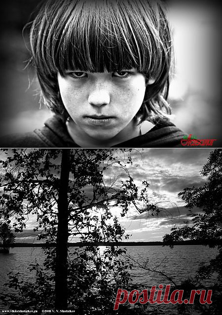 На границе тишины. Вся правда о моём орущем окружении — Евангелие от Иуды