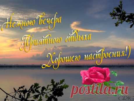 Картинка из галереи поздравлений