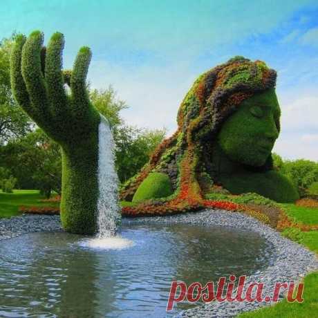 (80) Одноклассники