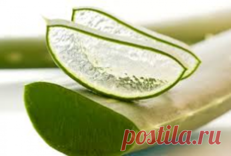 Алое вера гель / Aloe vera Gel                               Алое вера гель /     Aloe   vera Gel                                                                           INCI:  Aloe Barbadensis leaf juice  Используемая часть растения:  мякоть листьев  Внешний вид:  гель желтоватого  цвета  рН   продукта   :  3,5 - 5,5  Растворимость:  водорастворим  Особенности ввода в рецептуру:  желательно вводить в конце приготовления. Не нагревать выше 60С.  Условия хранения:  в темн...