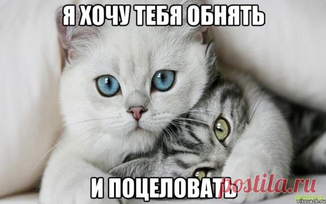Картинки на тему «Так хочу обнять тебя и поцеловать!» (13 фото) ⭐ Забавник