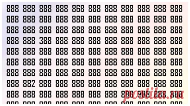 Тест на внимательность: найдите за одну минуту 5 шт (по три цифры) отличных от 888 - Odnaminyta - 2 января - 43346856023 - Медиаплатформа МирТесен