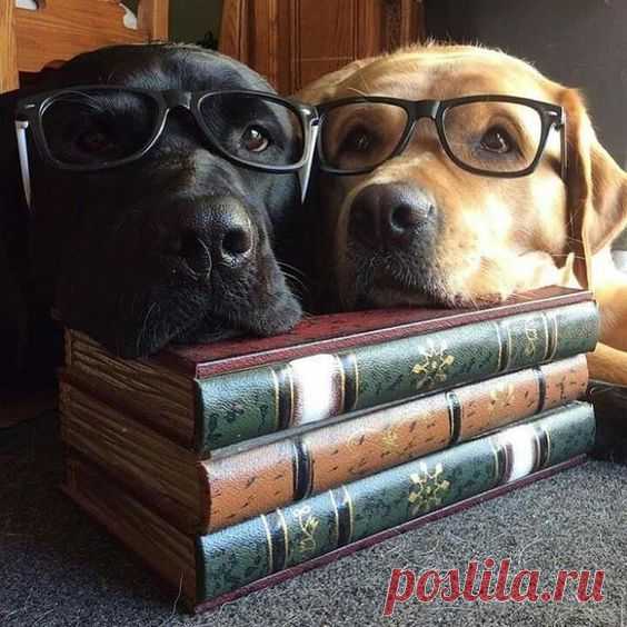 Pinterest