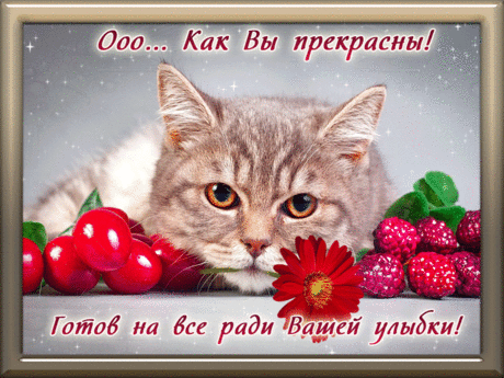 флеш открытки | Самой прекрасной!