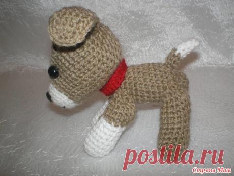 . Чихуа, такса и другие... - Вязание - Страна Мам