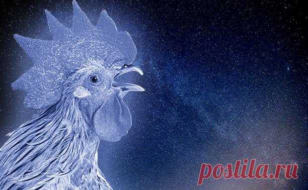 Предсказания на 2021 год по славянскому тотемному годослову - MySlo.ru