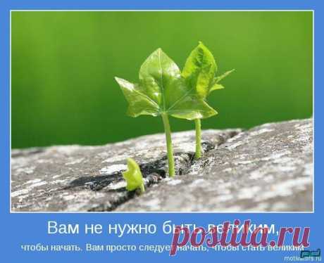 картинки бизнес здоровье успех - Поиск в Google