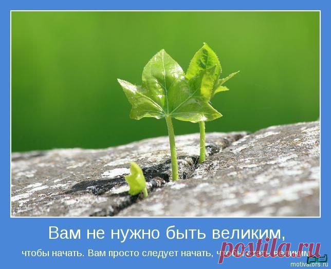 картинки бизнес здоровье успех - Поиск в Google