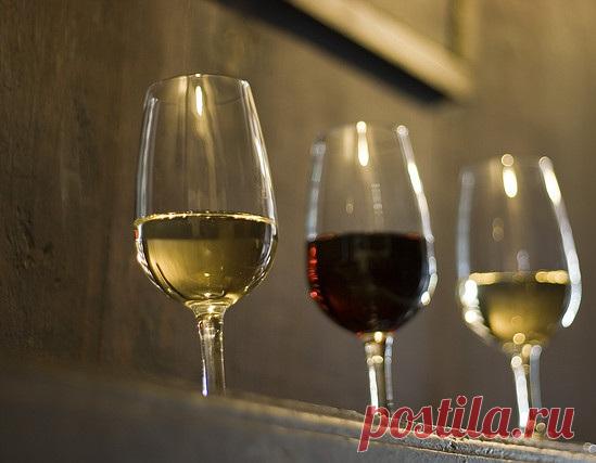 Пять методов снизить кислотность домашнего вина