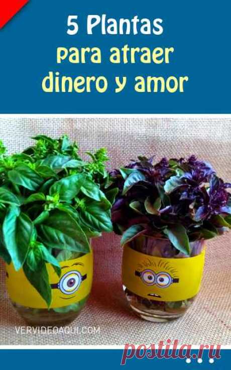 Para atraer dinero