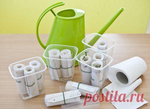 Собираем идеи к дачному сезону! .