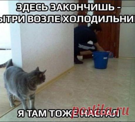 Мой раб никогда не отдыхает