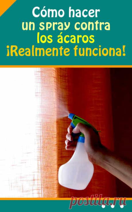 Cómo hacer un spray contra los ácaros ¡Realmente funciona!