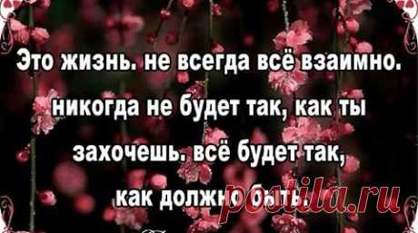 (55) Facebook