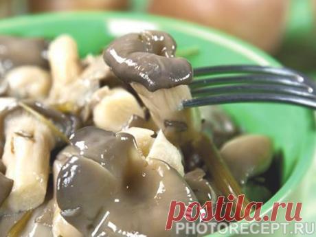 Письмо «сообщение Царство_Кулинарии : Грибы вешенки - что можно приготовить? (12:07 25-07-2018) [4546433/438212220]» — Царство_Кулинарии — Яндекс.Почта