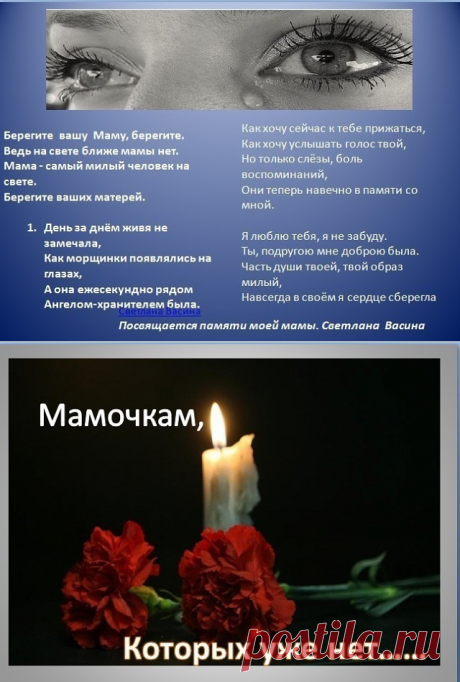 (3) Одноклассники