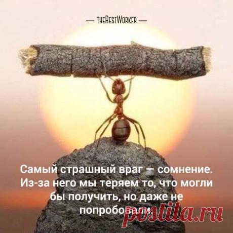 Оксана Крищук