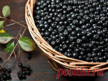 Домашнее вино из черноплодной рябины