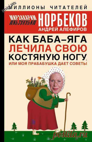 Скачать книгу Как Баба - Яга лечила свою костяную ногу, или моя прабабушка дает советы - Мирзакарим Норбеков