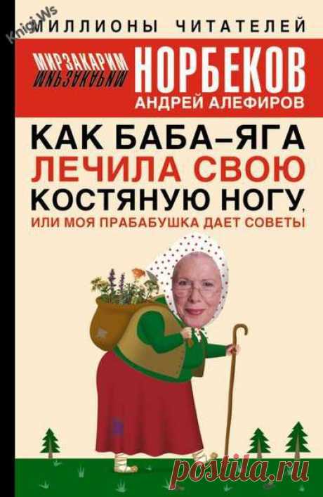 Скачать книгу Как Баба - Яга лечила свою костяную ногу, или моя прабабушка дает советы - Мирзакарим Норбеков