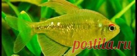 Мирный - Part 5