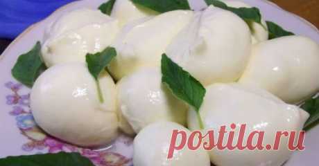 Домашняя моцарелла. Вкуснее магазинной а готовится за пол часа! - Готовим вкусно!