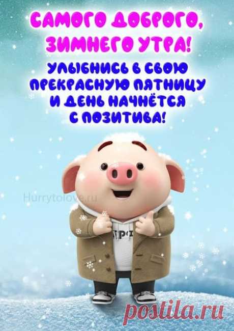 Картинки с добрым зимним утром пятницы: красивые и прикольные открытки с надписями