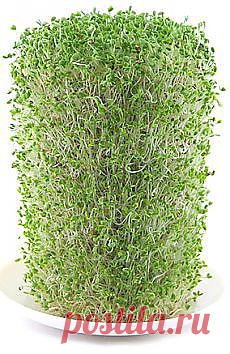 Письмо «Карамельный соус к блинчикам и не только и другие материалы. Новое в Вашей подборке на Постиле» — Постила — Яндекс.Почта