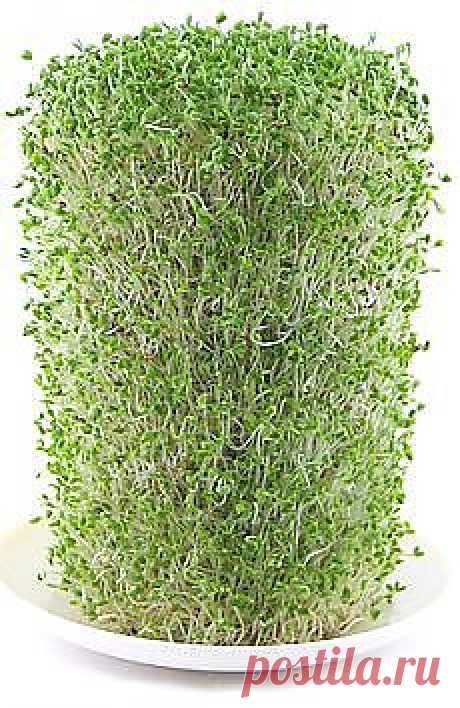 Письмо «Карамельный соус к блинчикам и не только и другие материалы. Новое в Вашей подборке на Постиле» — Постила — Яндекс.Почта