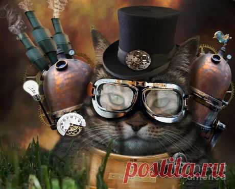 стимпанк картинки: 20 тыс изображений найдено в Яндекс.Картинках